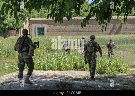 Afghan National Army Special Forces mit der 6. spezielle Operationen Kandak und US Army Special Forces Commando befestigt, kombiniert gemeinsame Special Operations Task Force-Afghanistan, während einer Operation zur Niederschlagung von Aufständen 27. Mai 2014 im Bezirk Nejrab, Provinz Kapisa in Afghanistan. Stockfoto