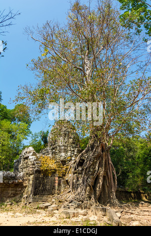 Tor zum Ta Som Tempel, Siem Reap, Kambodscha Stockfoto