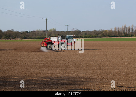 Calthorpe Farm, Ingham, Norwich. Norfolk. Selbstfahrende Feldspritze gesäten Zuckerrüben Feld Herbizid anwenden. Ausleger Extendended. Stockfoto