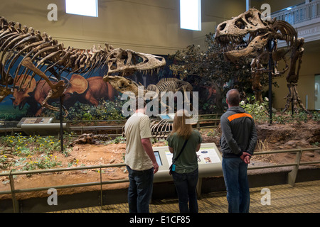 Carnegie Museum der Naturgeschichte in Pittsburgh PA Stockfoto