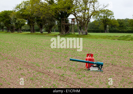 Vogel Scarer. Gas Pistole; Batterie-Zeitschaltuhr betrieben Gerät zur Verringerung der Verwüstungen durch Pest Vogelarten auf Pflanzen verwendet. Stockfoto