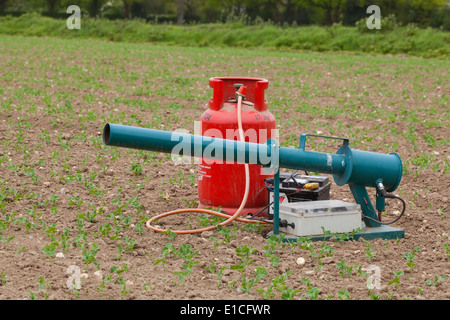 Vogel Scarer. Gas Pistole; Batterie-Zeitschaltuhr betrieben Gerät zur Verringerung der Verwüstungen durch Pest Vogelarten auf Pflanzen verwendet. Stockfoto