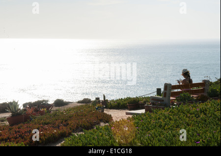 Klippen über Blacks Beach, La Jolla, CA Stockfoto