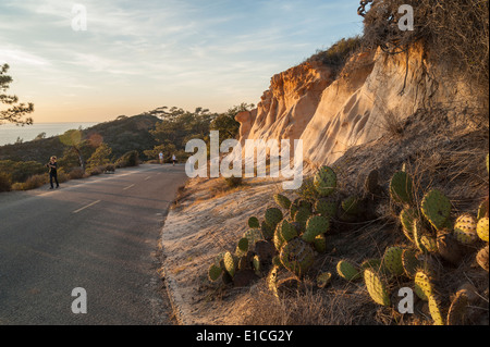 Klippen und Sonnenuntergang über dem Pazifischen Ozean im Torrey Pines State Park, La Jolla, Kalifornien Stockfoto