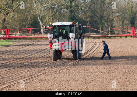 Calthorpe Farm, Ingham, Norwich. Norfolk. Selbstfahrende Feldspritze über Applyi Herbizid vor kurzem gesäten Zuckerrüben Feld. Stockfoto