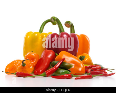 Vielzahl von Süße und heiße Paprika, rot, gelb, orange süße Paprika, Cubanelle, Thai Jalapenopfeffer, Scotch Bonnet Pfeffer Stockfoto