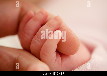 Eine Babys Hand liebevoll ihre Mütter-hand Stockfoto