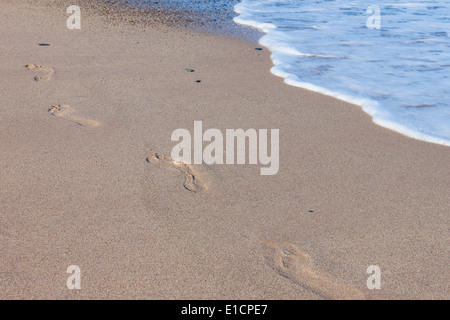 Fußabdrücke auf dem sandigen Strand hinter sich gelassen Stockfoto