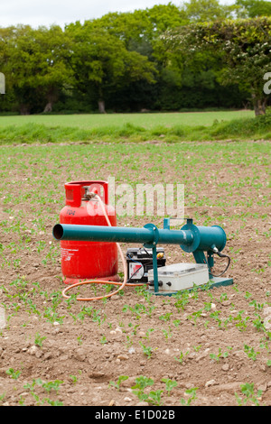 Vogel Scarer. Gas Pistole; Batterie-Zeitschaltuhr betrieben Gerät zur Verringerung der Verwüstungen durch Pest Vogelarten auf Pflanzen verwendet. Stockfoto