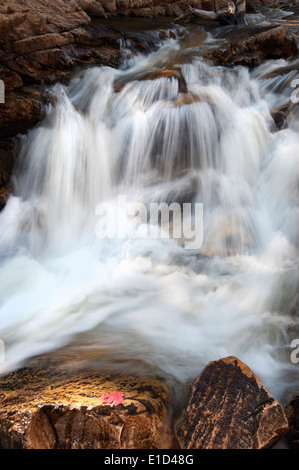 Obere Provo River Falls und Wasser Kaskadierung über Felsen, in den Uinta Mountains in Utah. Stockfoto