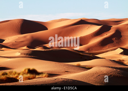 Erg Chebbi Sanddünen in der Sahara Wüste in der Nähe von Merzouga, Marokko Stockfoto