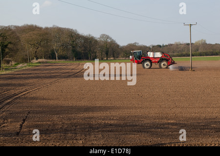 Calthorpe Farm, Ingham, Norwich. Norfolk. Spritze vor kurzem gesäten Zuckerrüben Feld Herbizid anwenden. März. Stockfoto