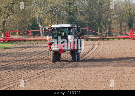 Calthorpe Farm, Ingham, Norwich. Norfolk. Selbstfahrende Feldspritze über Applyi Herbizid vor kurzem gesäten Zuckerrüben Feld. Stockfoto