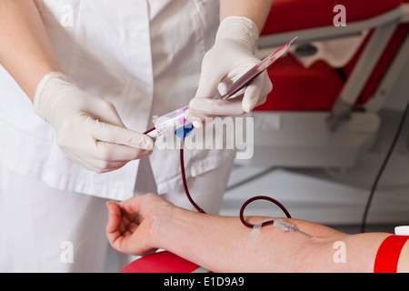 Krankenschwester und Patient Blutentnahme. Blutspenden in Blut-Labor. Stockfoto