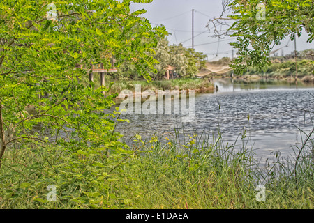 Angeln-Hütte auf der Pialassa della Baiona brackige Lagune in der Nähe von Marina Romea an Te adriatischen Küste in Ravenna (Italien) Stockfoto