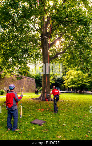 Turin, Italien. 31. Mai 2014. Die Veranstaltung "geht der Sport auf dem Platz in Turin". Turin wurde gewählt, als die Kulturhauptstadt Sport 2015 - Baumklettern, Giardini Reali Credit: wirklich Easy Star/Alamy Live News Stockfoto