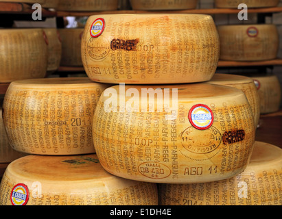 Räder von Parmesan-Käse auf dem Markt in Italien. Stockfoto