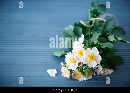Bouquet von wilden Rosen auf einem Holztisch Stockfoto