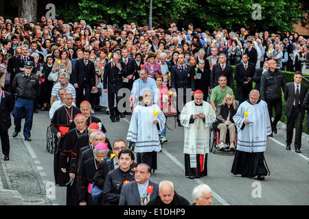 Vatikan-Stadt. 31. Mai 2014. Papst Francis - Feier für die Jungfrau Maria für das Ende des Monats Mai im Vatikan, die Vatikanischen Gärten, Lourdes-Grotte Credit: wirklich Easy Star/Alamy Live News Stockfoto