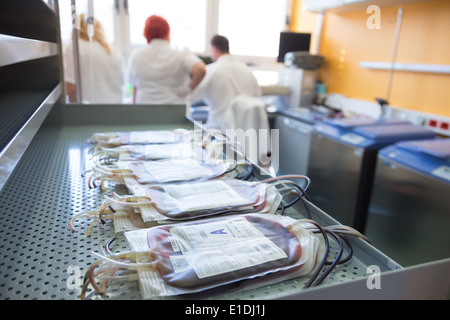 Blutbeutel im hämatologischen Labor. Stockfoto