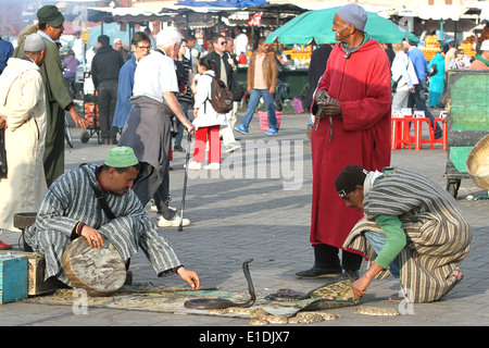 Schlangenbeschwörer in Jamaa el Fna in Marrakesch Stockfoto