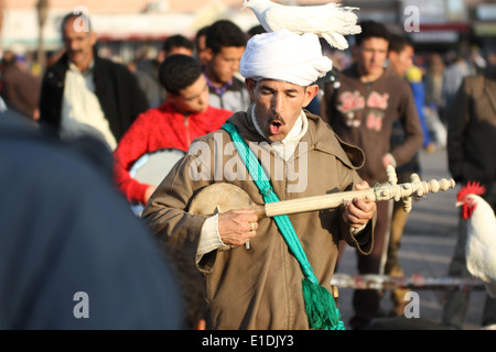 Ein Musiker spielt eine Gitarre auf dem Djemaa el Fna Platz, Marrakesch, Marokko mit einer Taube auf den Kopf Stockfoto