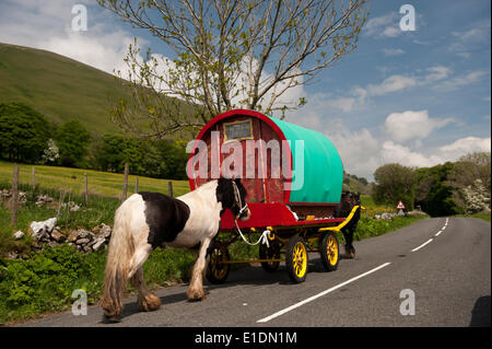 Zwischen Sedbergh und Kirkby Stephen, UK. 1. Juni 2014. Pferdekutsche Wohnwagen in Richtung das Pferd Messe am Appleby in Westmorland entlang der A683 zwischen Sedbergh und Kirkby Stephen, bereit, auf Cote Moor Zelten. Die Messe, die seit 1685 in Betrieb ist, ist das größte seiner Art in Europa. Dieses Jahr findet das Oktoberfest auf dem 5-11. Juni. Bildnachweis: Wayne HUTCHINSON/Alamy Live-Nachrichten Stockfoto