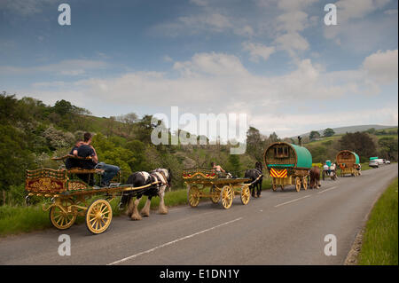 Zwischen Sedbergh und Kirkby Stephen, UK. 1. Juni 2014. Pferdekutsche Wohnwagen in Richtung das Pferd Messe am Appleby in Westmorland entlang der A683 zwischen Sedbergh und Kirkby Stephen, bereit, auf Cote Moor Zelten. Die Messe, die seit 1685 in Betrieb ist, ist das größte seiner Art in Europa. Dieses Jahr findet das Oktoberfest auf dem 5-11. Juni. Bildnachweis: Wayne HUTCHINSON/Alamy Live-Nachrichten Stockfoto