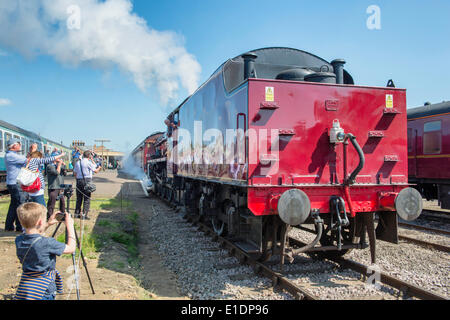 Dereham, UK. 1. Juni 2014. LMS Jubilee Klasse 6 P 4-6-0 keine 45699 Galatea LMS Roel Scot Klasse 7P 4-6-0 keine 46115 Scots Gardist LMS Klasse 8F 2-8-0 keine 48151 besuchen Norfolk für die Dampf-Gala vom 30. Mai 2014. zu 1. Juni 2014 zieht viele Besucher aller Altersgruppen. Bildnachweis: Major Gilbert/Alamy Live-Nachrichten Stockfoto