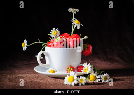 Kamillen und Erdbeeren in der Tasse Stockfoto