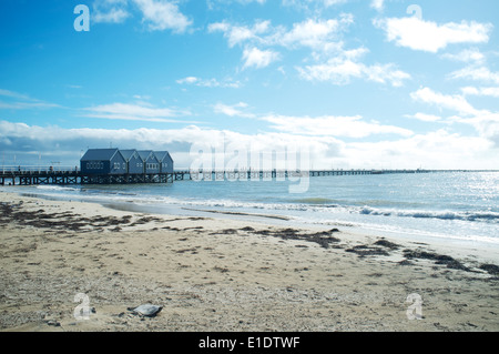 Busselton Jetty, südwestlichen Australien Stockfoto