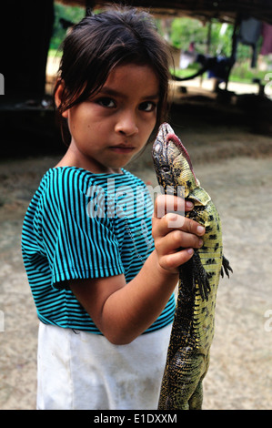 Eidechse - traditionelle Küche in Industria - Kochen DURCHGESCHWITZT. Abteilung von Loreto. Peru Stockfoto