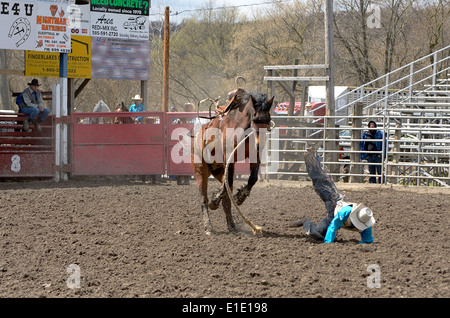 Fahrer ist von bucking Horse bei High School Rodeo in Attika New York geworfen. Stockfoto