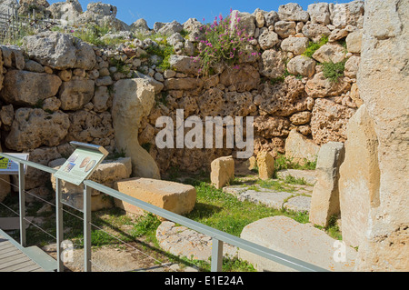 Neolithischen Tempel Ggantija Xaghra Magalithic Gozo Stockfoto