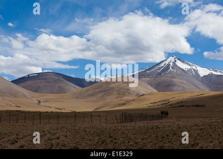 Berglandschaft in der Region von Nuruchan (in der Nähe von Tso Kar), Rupshu, Changtang, Ladakh, Jammu und Kaschmir, Indien Stockfoto