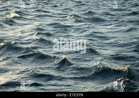 Stürmische Wellen Stockfoto