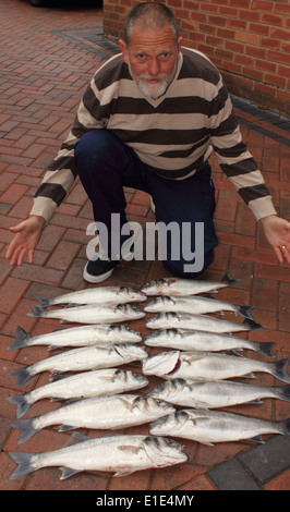 Sea Bass Stockfoto