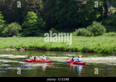 Familie Paddeln im Kanu auf dem Fluss Semois in der Nähe von Mortehan in den Ardennen (Belgien) Stockfoto