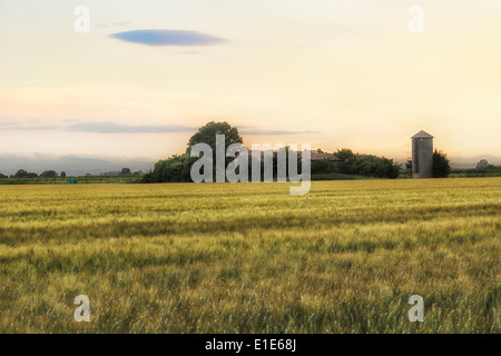 Zerstörten Bauern Häuser im italienischen Landschaft Stockfoto