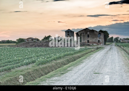 Zerstörten Bauern Häuser im italienischen Landschaft Stockfoto