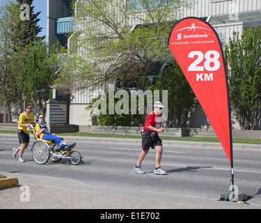 Calgary, Alberta, Kanada. 1. Juni 2014. Läufer und Rollstuhl Teilnehmer racing in der 50. Scotiabank Calgary Marathon auf Sonntag, 1. Juni 2014. Kanadas laufen am längsten Marathon lockte mehr als 15.000 Teilnehmern und mehr als 1 Million Dollar für wohltätige Zwecke erhoben. Calgary, Alberta, Kanada. Bildnachweis: Rosanne Tackaberry/Alamy Live-Nachrichten Stockfoto