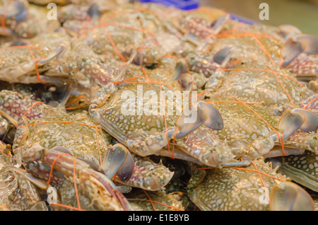 Frische rohe Blume Krabbe oder blaue Krabbe im Fischmarkt Stockfoto