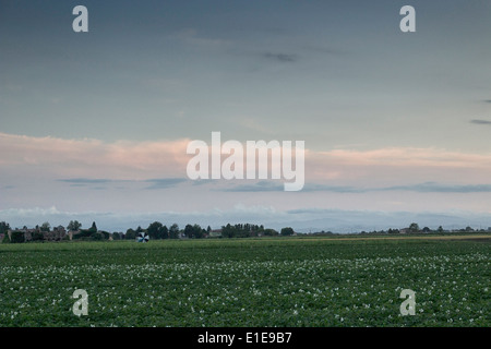 Zerstörten Bauern Häuser im italienischen Landschaft Stockfoto