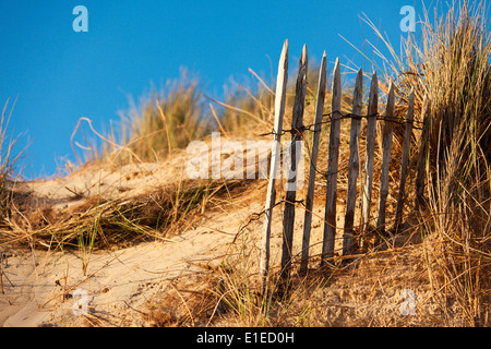 Sand-Zaun, Dünen von Barneville-Carteret, Halbinsel Cotentin, Basse-Normandie, Frankreich Stockfoto