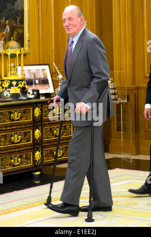 Der spanische König Juan Carlos besucht Anhörung mit einem konstitutionellen Gericht Präsident Francisco Perez De Los Cobos Orihuel im Zarzuela-Palast. Madrid am 25. Juni 2013 Stockfoto