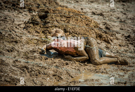 Das Hindernis Spartan Race fand in Liberec, Tschechische Republik, am 31. Mai 2014. (CTK Foto/Radek Petrasek) Stockfoto