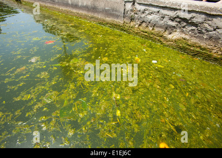 Schmutzwasser in Canal Saint-Martin, Paris Stockfoto