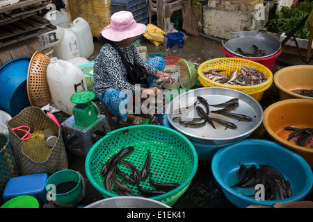 Fisch stand auf Straßenmarkt in Can Tho Vietnam Stockfoto