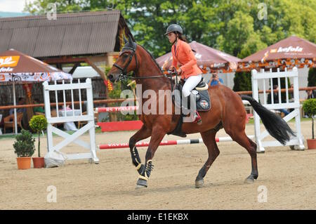 Bratislava-Zahorska Bystrica, Slowakei. 1. Juni 2014.  Gabriela Radova (SVK) reitet auf Caitano. Ein dreitägiges Turnier LICA RS Team Grand Prix - wurde in Braitslava-Zahorska Bystrica, Slowakei auf 30.05.14-1.06.14 slowakische Springreiten Cup ausgetragen. Bildnachweis: Dmitry Argunow/Alamy Live-Nachrichten Stockfoto