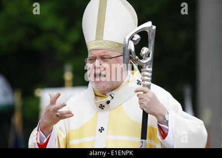 Regensburg, Deutschland. 1. Juni 2014. Reinhard Marx, Kardinal-Erzbischof von München und Freising, Predigt auf die Schließung Masse der 99. Deutscher Katholikentag. Tausende von Menschen kamen zu der Schließung Open-Air-Messe der 99. Deutscher Katholikentag (Deutsch-katholische Kirche-Kongress). Der Chef Zelebrant war Reinhard Marx, Kardinal-Erzbischof von München und Freising. Die Open-Air-Messe endete die 5-Tages-Kongress. Stockfoto